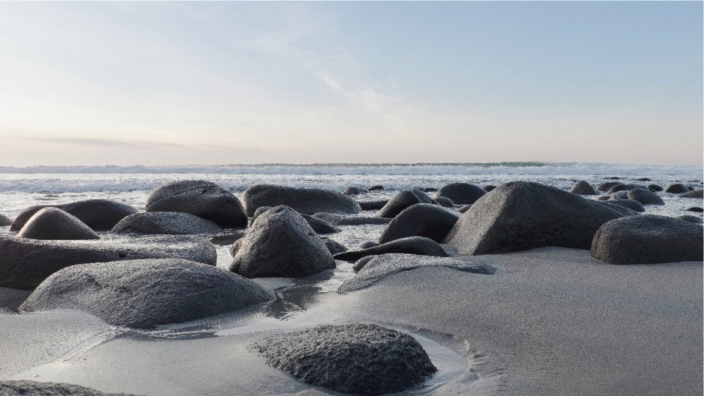 Looking out at tide-exposed gray rocks from ground level with a hazy horizon beyond.